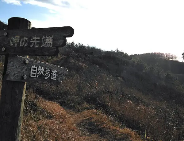 加賀海岸自然歩道の一部