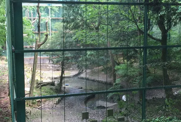 無料とは思えない多種多様な鳥獣たち