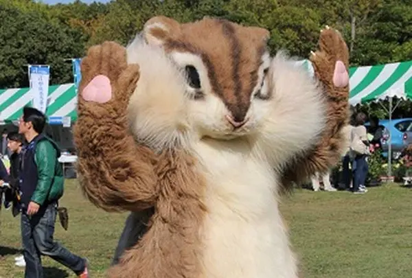 千葉共同組合フェスティバル