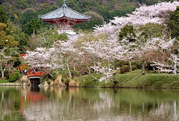 朱の宝塔を望む