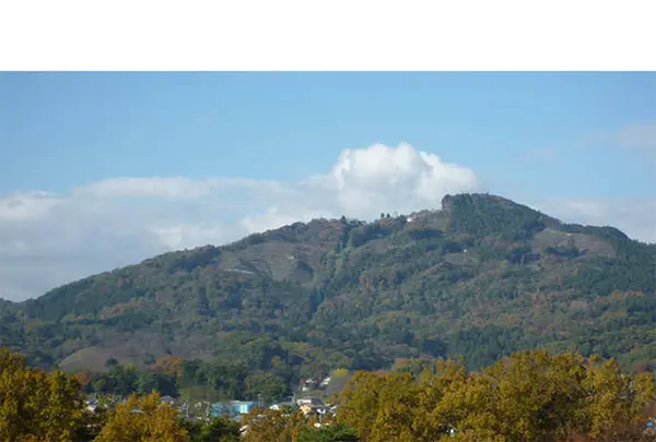 宝登山(ほどさん)