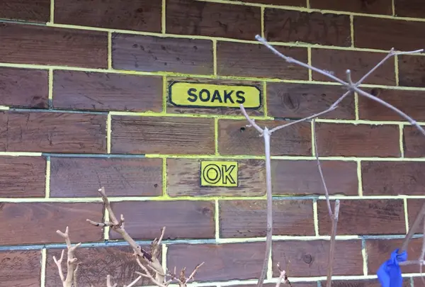 SOAKS(ソークス)の写真・動画_image_108463