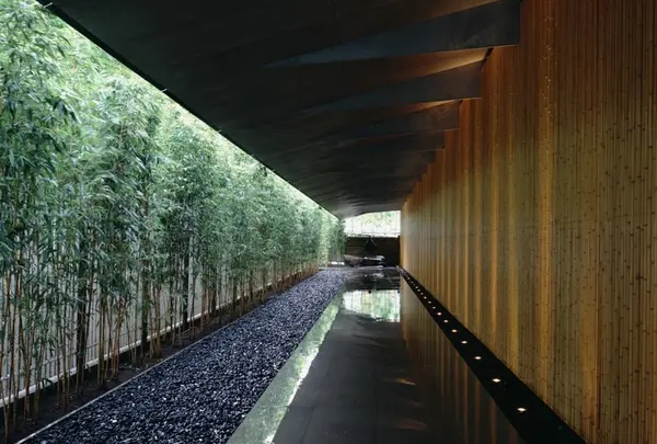 屋根