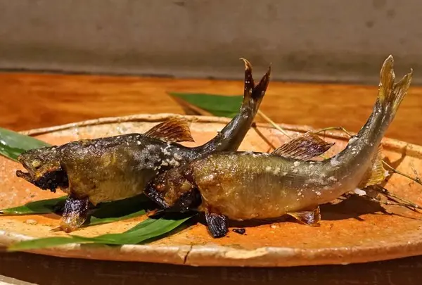 燕