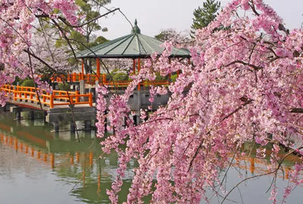 九華公園