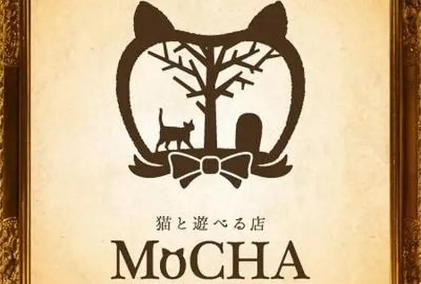 猫カフェ MoCHA(モカ)渋谷店