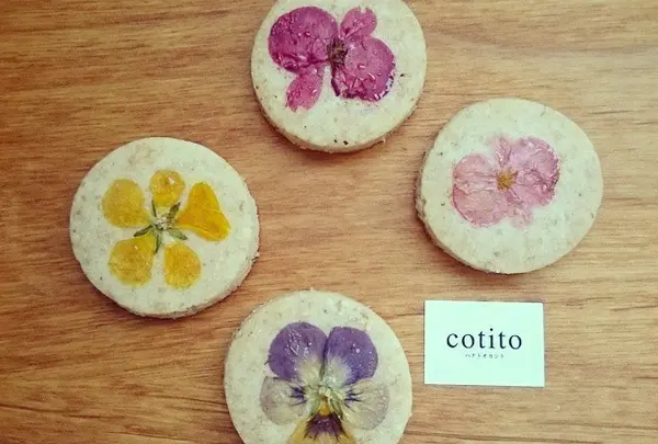 cotito ハナトオカシト