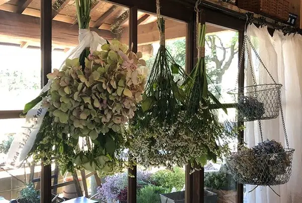 ブロカントチェア