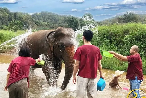 Ran-Tong Save & Rescue Elephant Centre