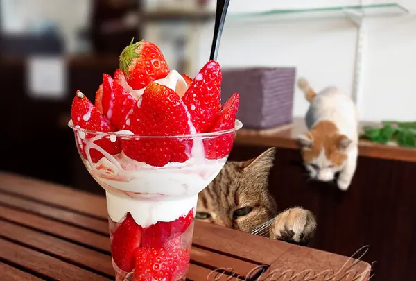 ひなたいちご園