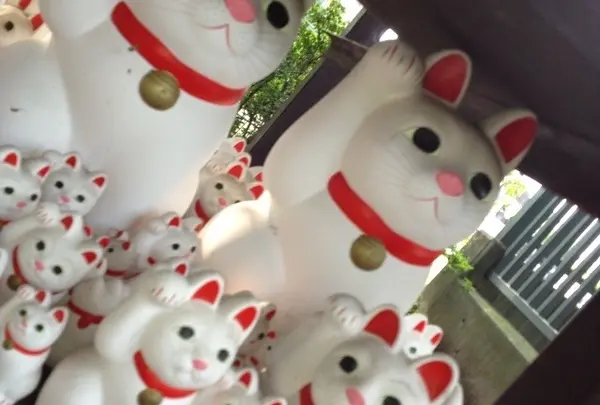 豪徳寺の写真・動画_image_20131