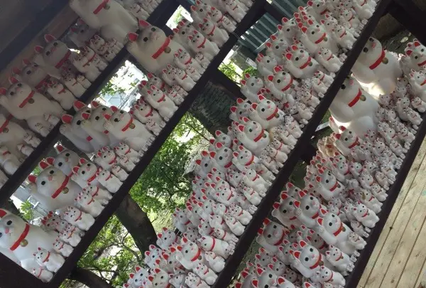 豪徳寺の写真・動画_image_20134