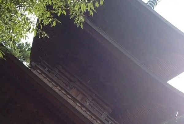 豪徳寺の写真・動画_image_20138