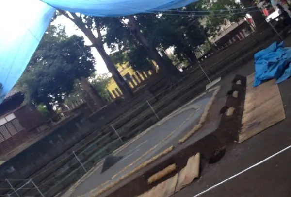 世田谷八幡宮の写真・動画_image_20148