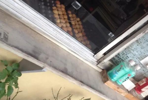 世田谷八幡宮の写真・動画_image_20152