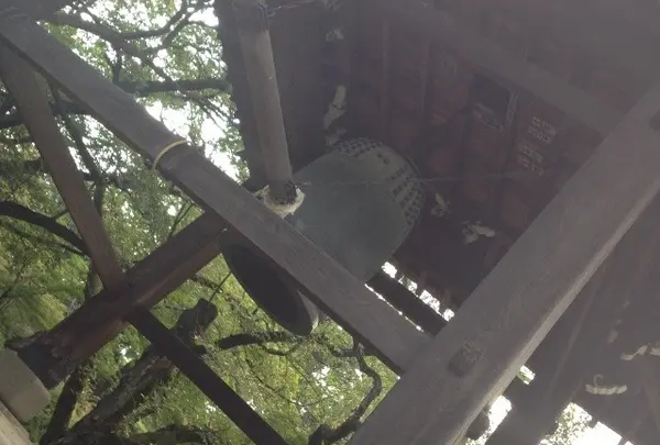 豪徳寺の写真・動画_image_20179