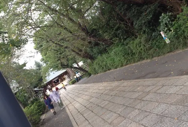 松陰神社の写真・動画_image_20890