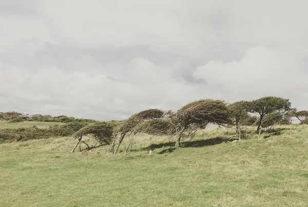 風がめっちゃ強いです