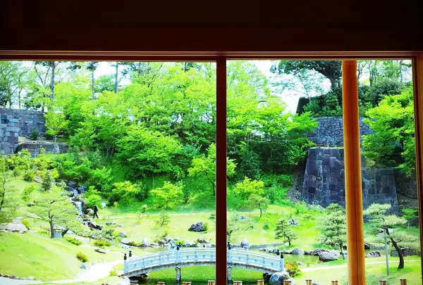 玉泉院丸庭園の写真・動画_image_78287