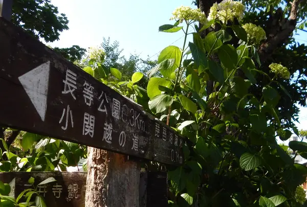 すぐ横から三井寺へも行けます