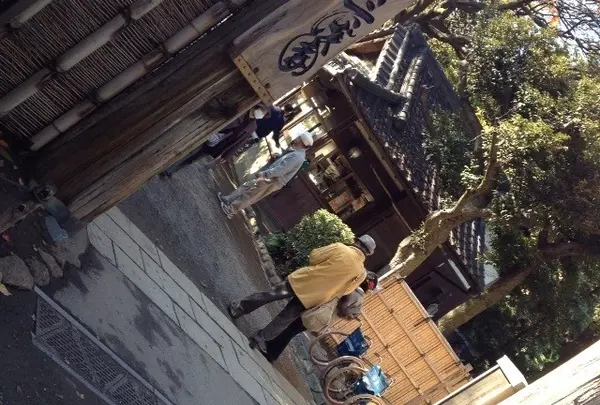 三溪園の写真・動画_image_126806