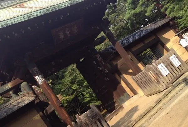 豪徳寺の写真・動画_image_126888