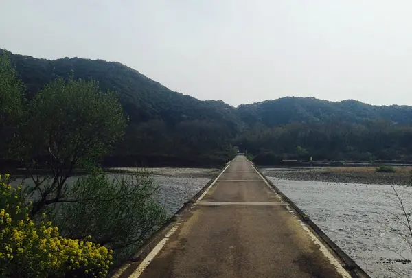 佐田沈下橋