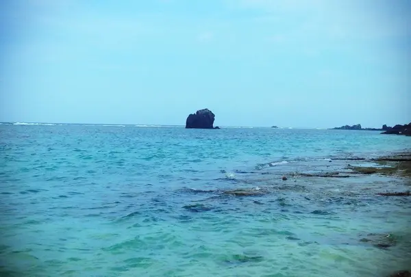 大浜海浜公園の写真・動画_image_142537