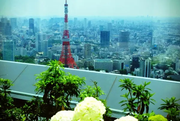 アンダーズ 東京の写真・動画_image_165629