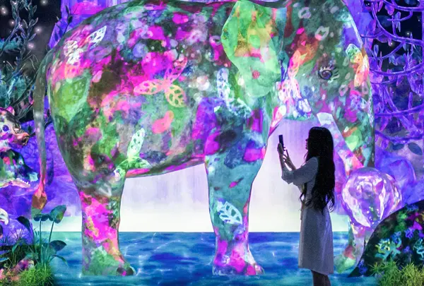 teamLab Forest / チームラボフォレスト – SBI証券