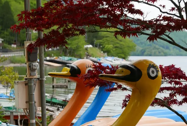 中禅寺湖の写真・動画_image_200003