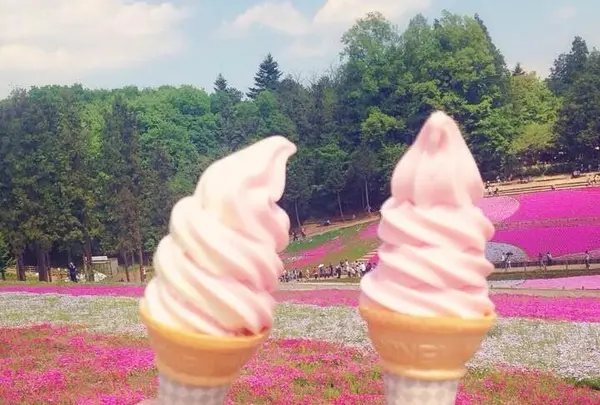 羊山公園の写真・動画_image_127360