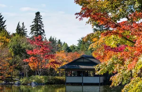 日本庭園