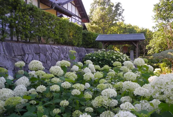 花の季節は様々な花が咲く