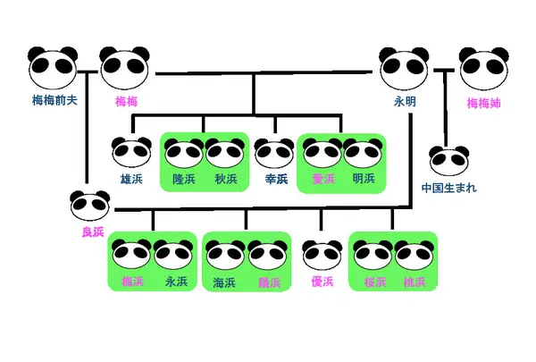 永明ファミリー家系図