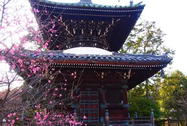 多宝塔