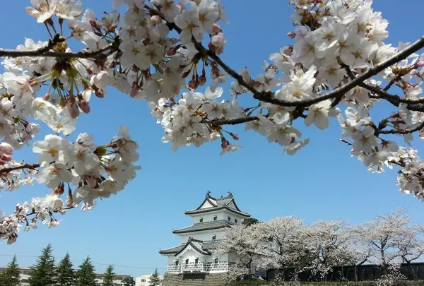 新発田城址公園の写真・動画_image_130130