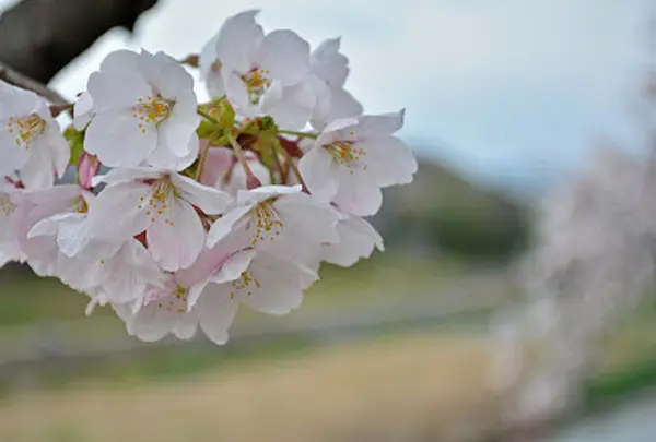 鴨川公園