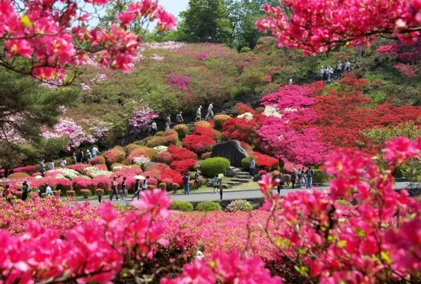 小室山つつじ園