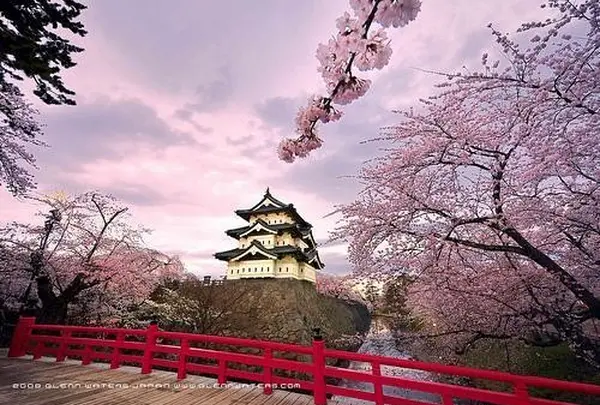 弘前公園