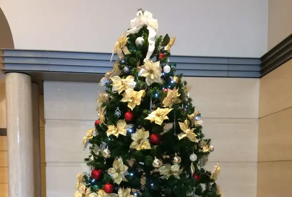 新宿アイランドウイングの写真・動画_image_208858