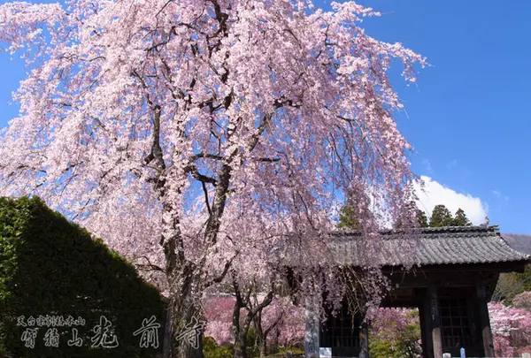 光前寺