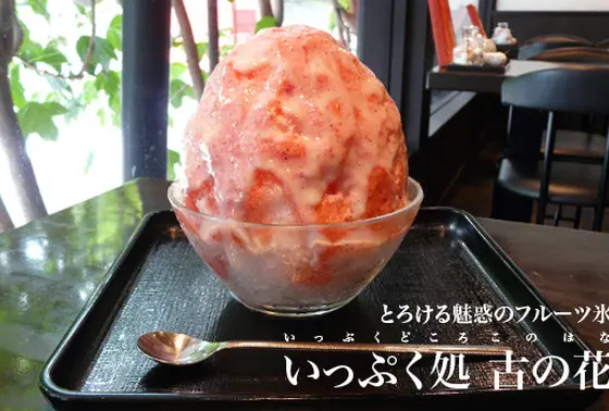 いっぷく処　古の花