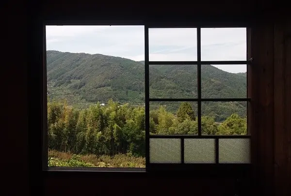 みかん山