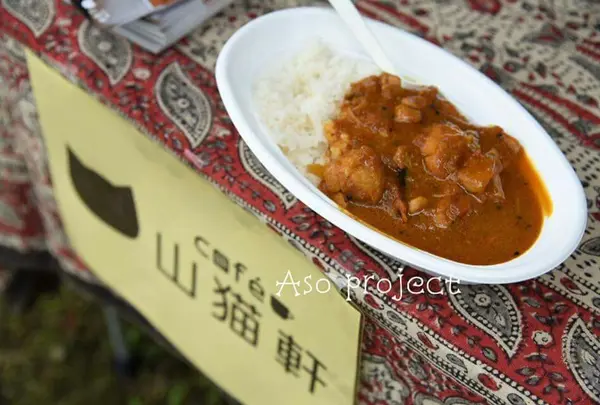 ケララチキンカレー
