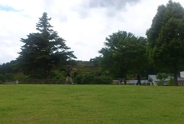 県立あいかわ公園の写真・動画_image_10315