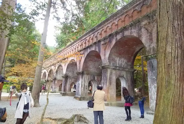 紅葉に映えてキレイ✨