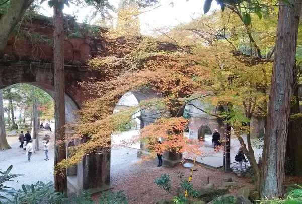 少し上からも見れます