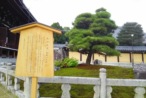 熊谷直実 鎧かけの松