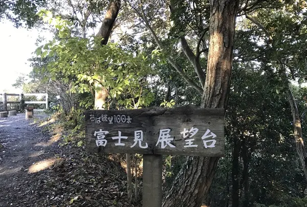安房神社の写真・動画_image_107007